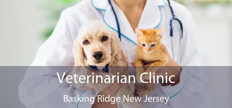 Veterinarian Clinic Basking Ridge New Jersey