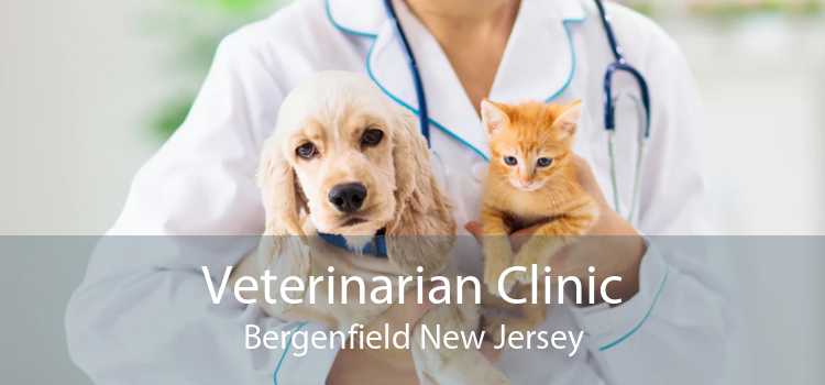 Veterinarian Clinic Bergenfield New Jersey