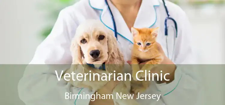 Veterinarian Clinic Birmingham New Jersey