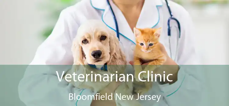 Veterinarian Clinic Bloomfield New Jersey