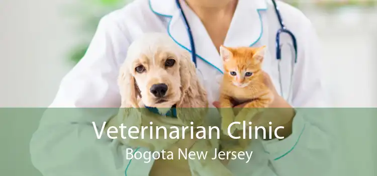 Veterinarian Clinic Bogota New Jersey
