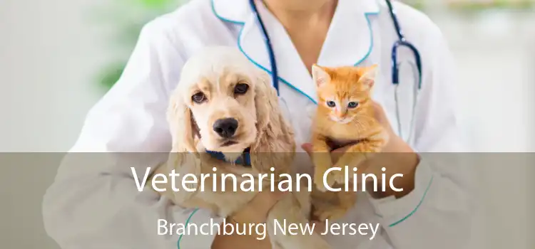 Veterinarian Clinic Branchburg New Jersey