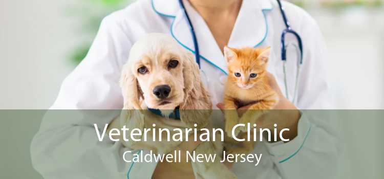 Veterinarian Clinic Caldwell New Jersey
