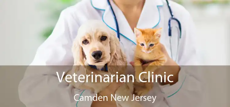 Veterinarian Clinic Camden New Jersey
