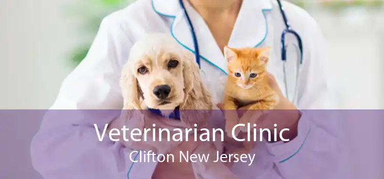 Veterinarian Clinic Clifton New Jersey