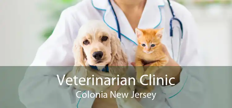 Veterinarian Clinic Colonia New Jersey