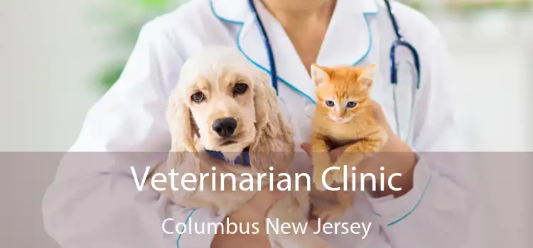 Veterinarian Clinic Columbus New Jersey