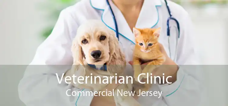 Veterinarian Clinic Commercial New Jersey