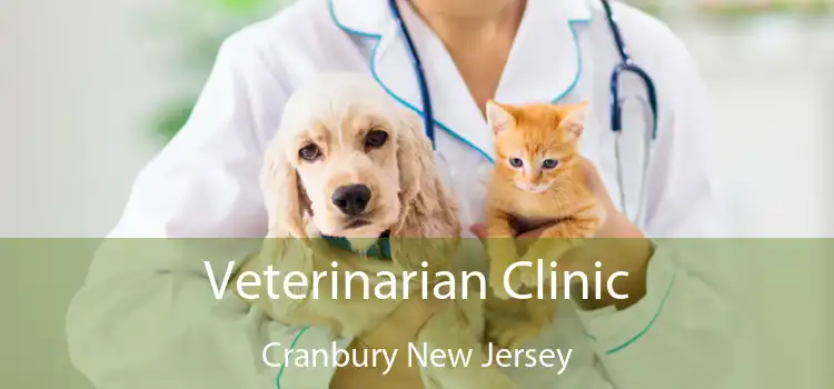 Veterinarian Clinic Cranbury New Jersey
