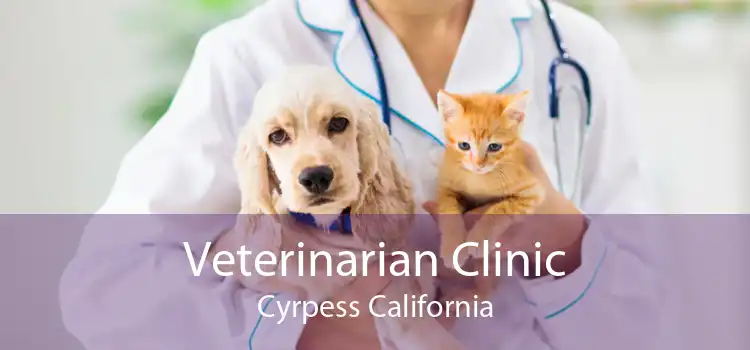 Veterinarian Clinic Cyrpess California