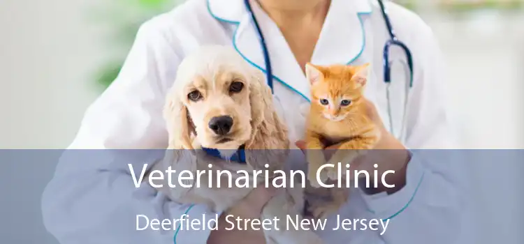 Veterinarian Clinic Deerfield Street New Jersey