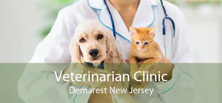 Veterinarian Clinic Demarest New Jersey