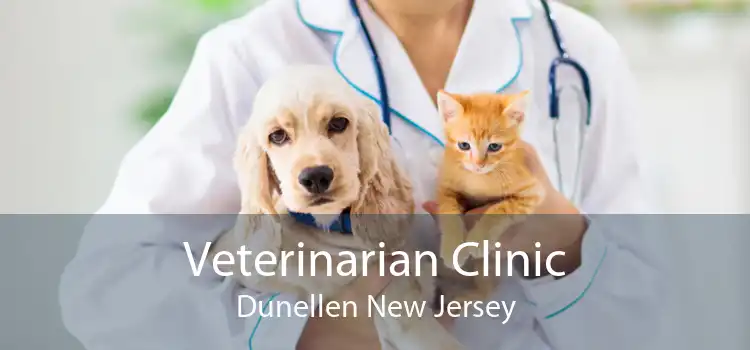 Veterinarian Clinic Dunellen New Jersey