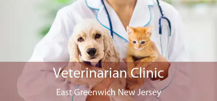 Veterinarian Clinic East Greenwich New Jersey