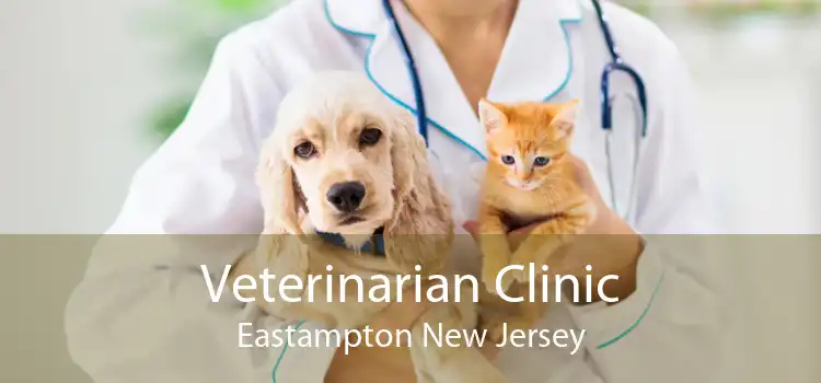 Veterinarian Clinic Eastampton New Jersey