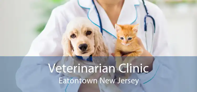 Veterinarian Clinic Eatontown New Jersey