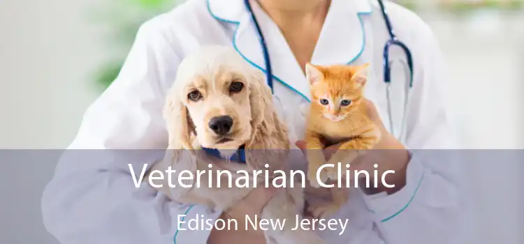 Veterinarian Clinic Edison New Jersey