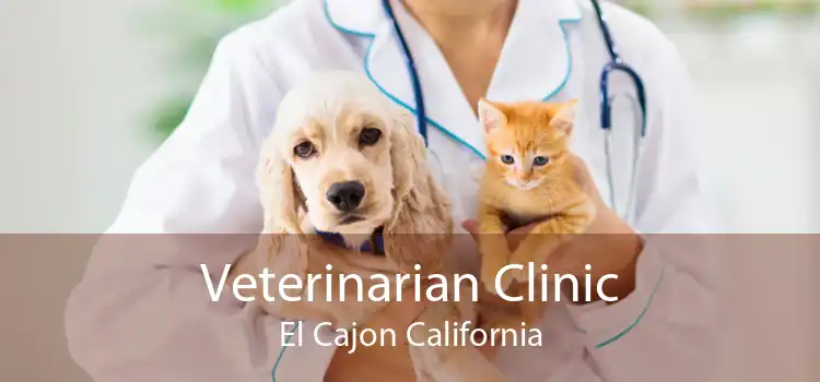 Veterinarian Clinic El Cajon California