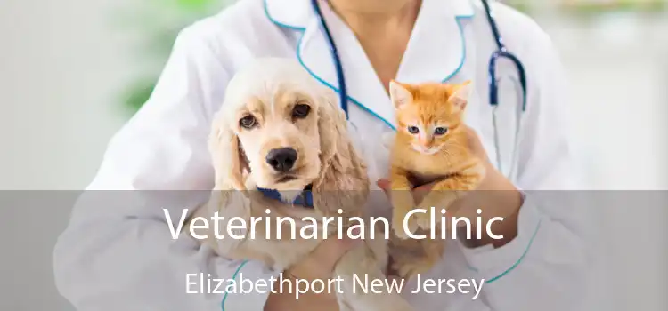Veterinarian Clinic Elizabethport New Jersey