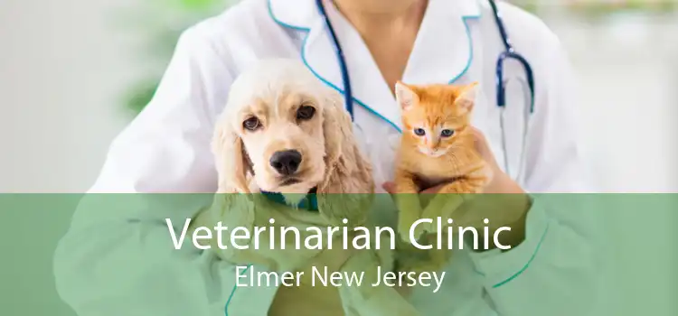 Veterinarian Clinic Elmer New Jersey