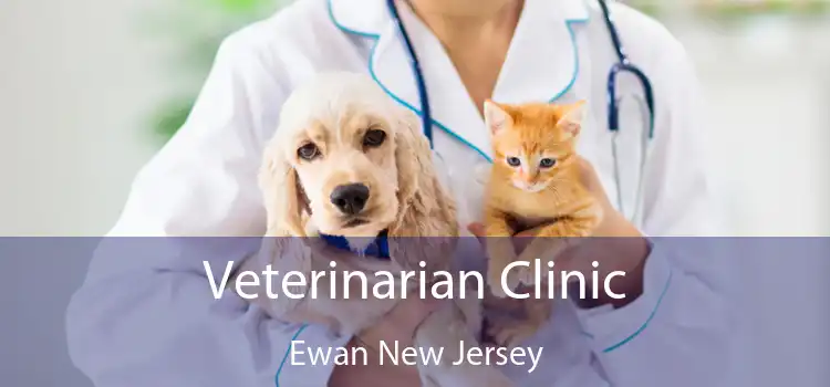 Veterinarian Clinic Ewan New Jersey