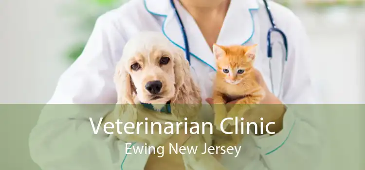 Veterinarian Clinic Ewing New Jersey