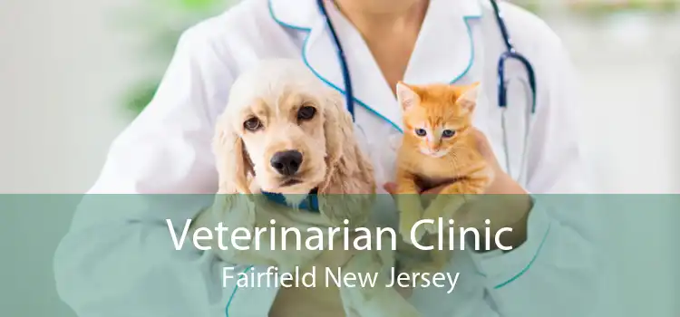 Veterinarian Clinic Fairfield New Jersey