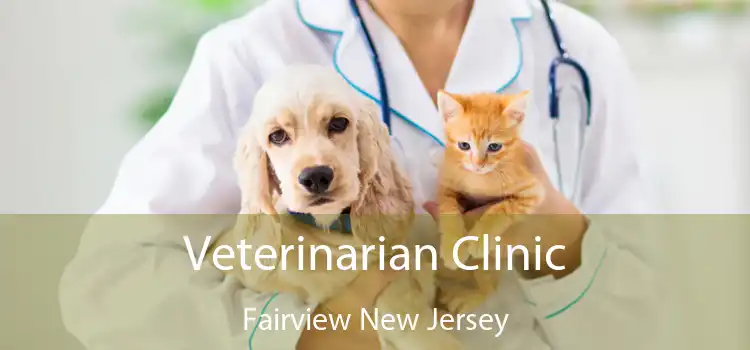 Veterinarian Clinic Fairview New Jersey