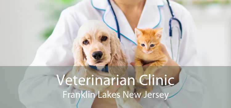 Veterinarian Clinic Franklin Lakes New Jersey