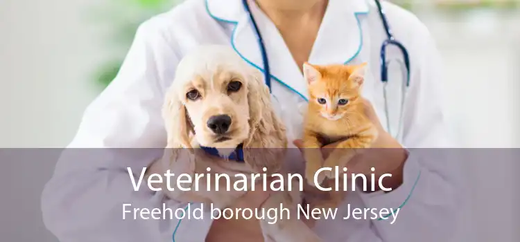 Veterinarian Clinic Freehold borough New Jersey