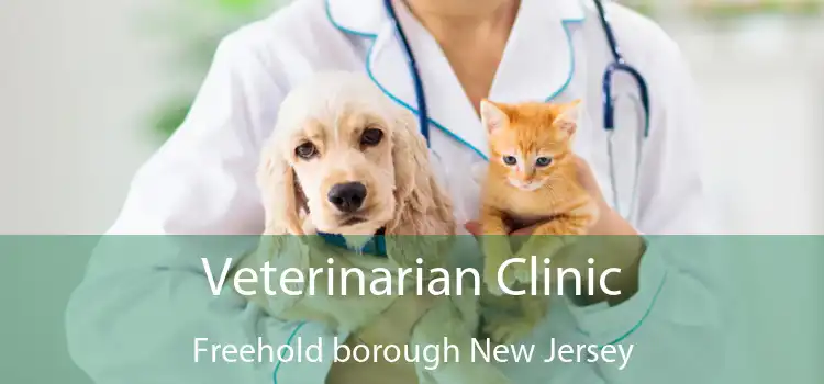 Veterinarian Clinic Freehold borough New Jersey