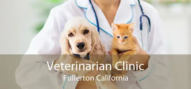 Veterinarian Clinic Fullerton California