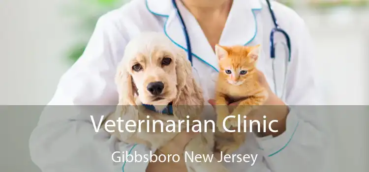 Veterinarian Clinic Gibbsboro New Jersey