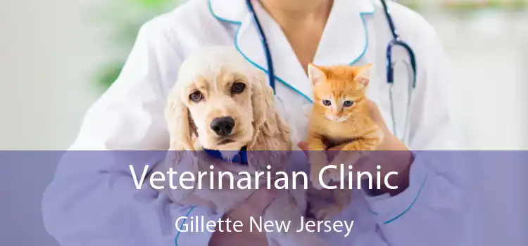 Veterinarian Clinic Gillette New Jersey