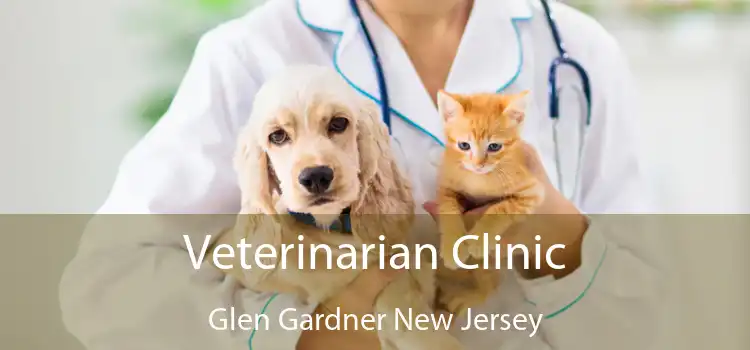 Veterinarian Clinic Glen Gardner New Jersey