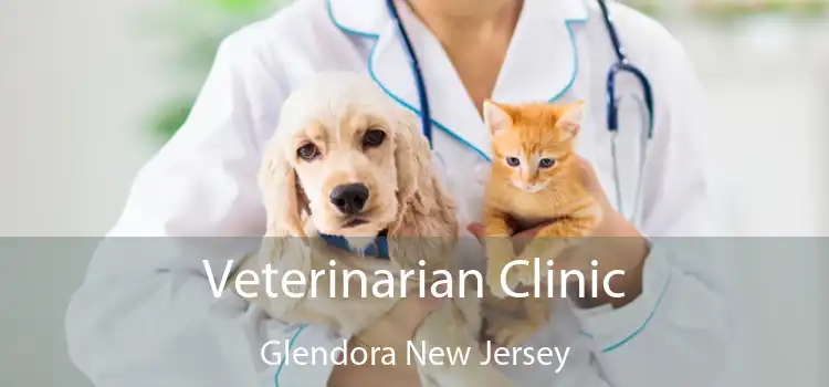 Veterinarian Clinic Glendora New Jersey