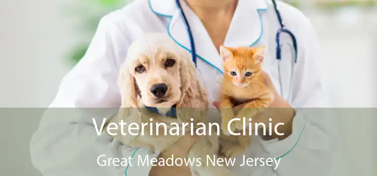 Veterinarian Clinic Great Meadows New Jersey