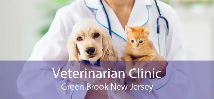 Veterinarian Clinic Green Brook New Jersey