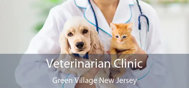 Veterinarian Clinic Green Village New Jersey