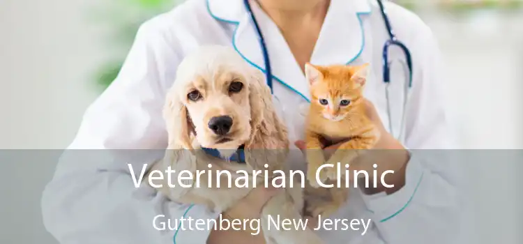 Veterinarian Clinic Guttenberg New Jersey