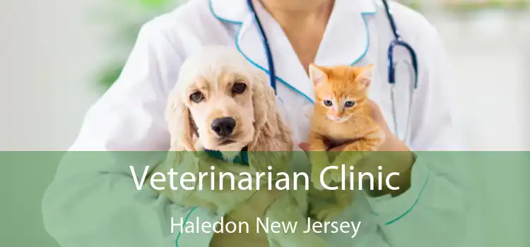 Veterinarian Clinic Haledon New Jersey
