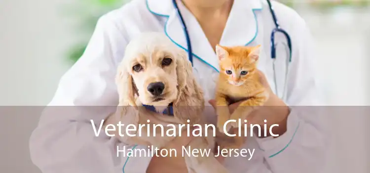 Veterinarian Clinic Hamilton New Jersey