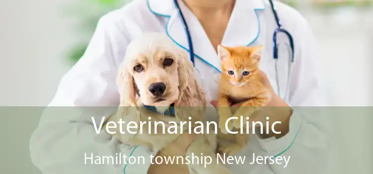 Veterinarian Clinic Hamilton township New Jersey