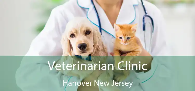 Veterinarian Clinic Hanover New Jersey