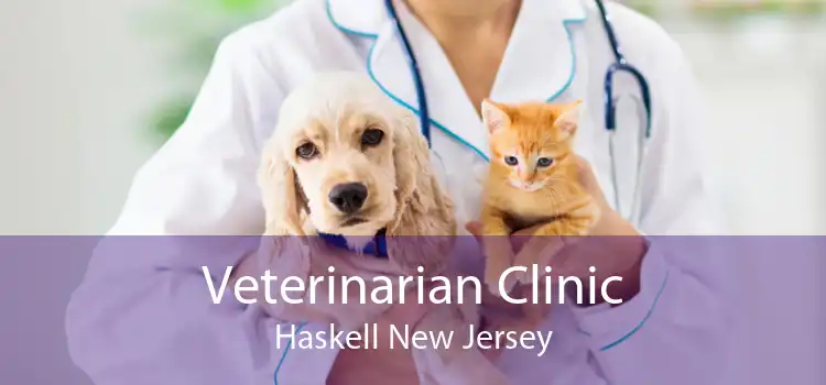 Veterinarian Clinic Haskell New Jersey