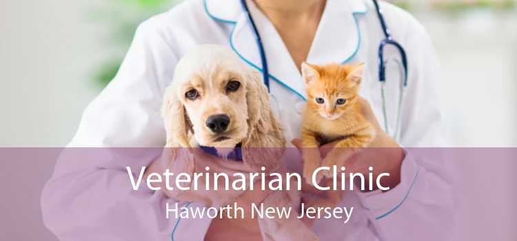 Veterinarian Clinic Haworth New Jersey