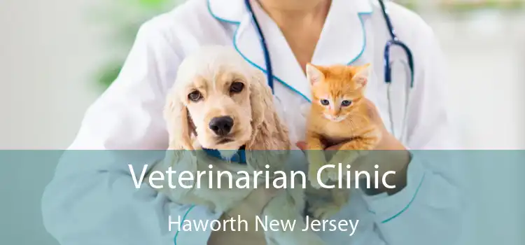 Veterinarian Clinic Haworth New Jersey