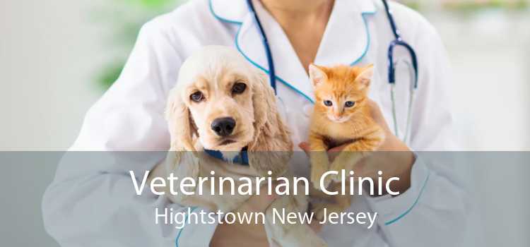 Veterinarian Clinic Hightstown New Jersey
