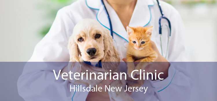 Veterinarian Clinic Hillsdale New Jersey