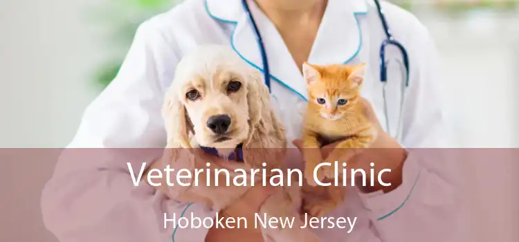 Veterinarian Clinic Hoboken New Jersey